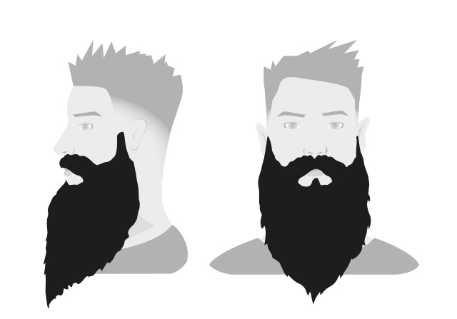 Типы бороды: борода зз