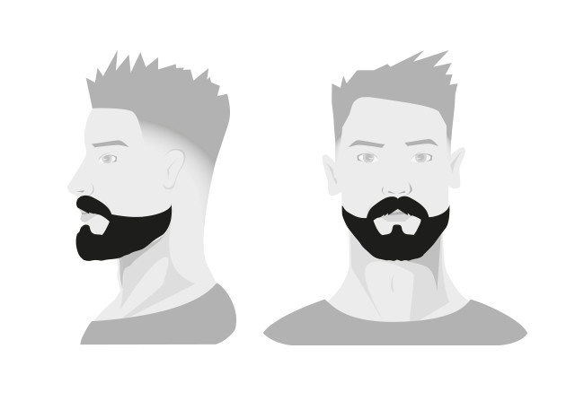 Типы бороды: голливудская борода