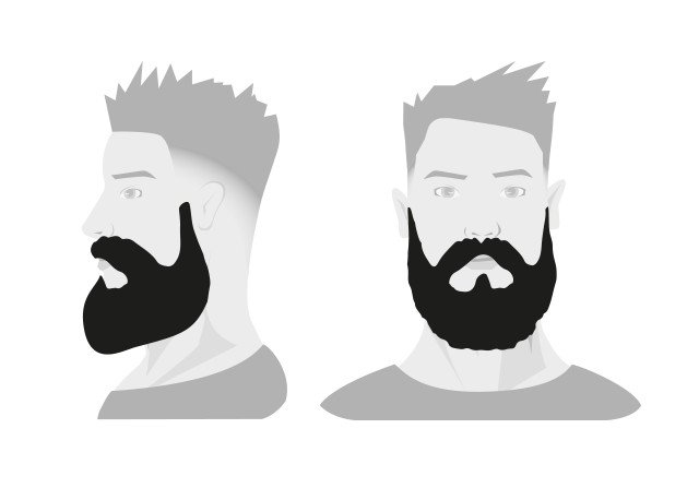 Типы бороды: окладистая борода